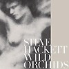 Steve Hackett - Wild Orchids