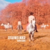 Stranded Horse - Grand Rodeo