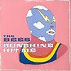 The Bees - Sunshine Hit Me