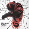 The Burning Flags - Pathways