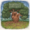 Timbreroots - Heartbeat Chronicles