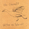 Vic Chesnutt - Skitter On Take-Off