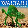 Waltari - Rare Species