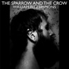 William Fitzsimmons - The Sparrow And The Crow