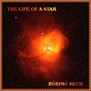 Zózimo Rech - The Life Of A Star