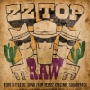 ZZ Top - Raw