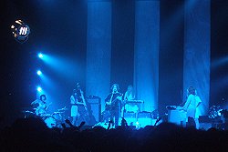 Jack White And The Peacocks