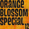 Orange Blossom Special 12 - 2. Teil